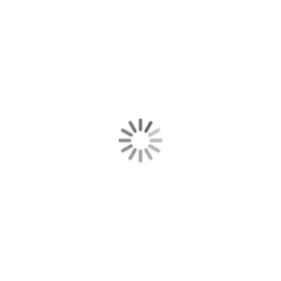 網站績效