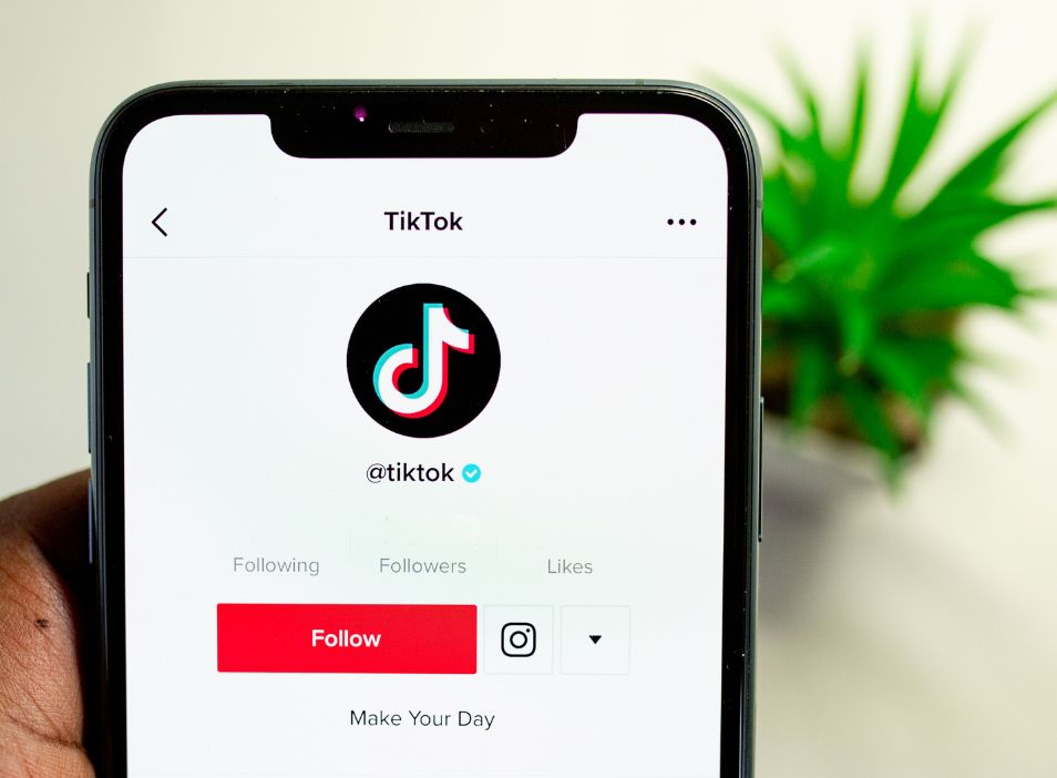 TikTok紅利 TikTok紅利